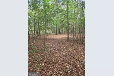 0 Fairway Lane, Hawkinsville, GA 31036 - Photo 2