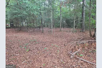 0 Fairway Lane, Hawkinsville, GA 31036 - Photo 6