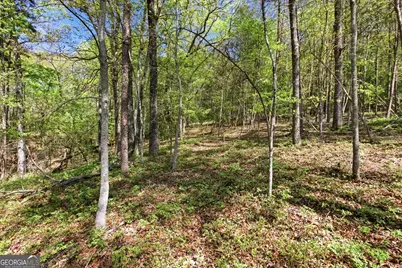 1655 Pardue Mill Road, Demorest, GA 30535 - Photo 56