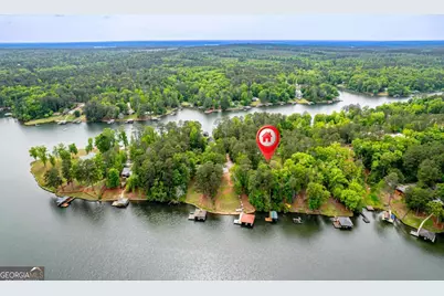 451 Loblolly Drive, Sparta, GA 31087 - Photo 42
