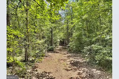 1 US Highway 80 W, Roberta, GA 31078 - Photo 2