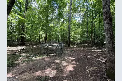 1 US Highway 80 W, Roberta, GA 31078 - Photo 24