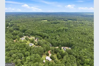 155 Skyview Road, Senoia, GA 30276 - Photo 14