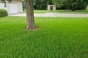 168 Lakeview Church Rd, Cochran, GA 31014 - Photo 6