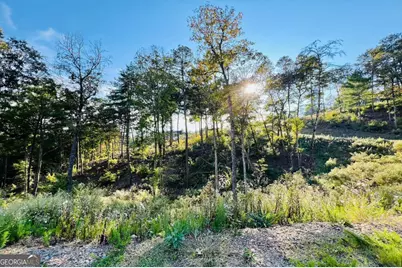 Lot 17 Mountain Laurel Ridge, Mineral Bluff, GA 30559 - Photo 4