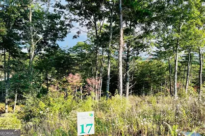 Lot 17 Mountain Laurel Ridge, Mineral Bluff, GA 30559 - Photo 8