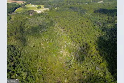 0 Davis Court, Hinesville, GA 31313 - Photo 4