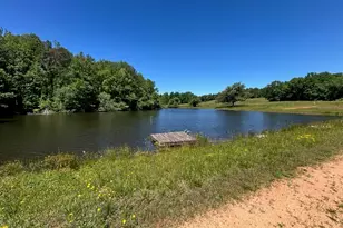 1024 Stonepile Rd, Clarkesville, GA 30523 - Photo 2
