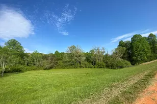 1024 Stonepile Rd, Clarkesville, GA 30523 - Photo 54