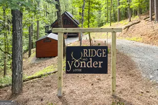 138 Nectar Ln, Ellijay, GA 30540 - Photo 54