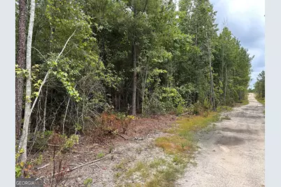 Lot B Rock Springs Road, Dublin, GA 31021 - Photo 6