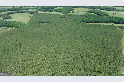 0 Flatwoods & Colonel Dixon Roads, Elberton, GA 30635 - Photo 2