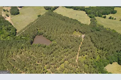 0 Flatwoods & Colonel Dixon Roads, Elberton, GA 30635 - Photo 4