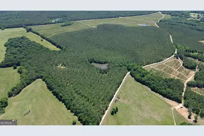 0 Flatwoods & Colonel Dixon Roads, Elberton, GA 30635 - Photo 1