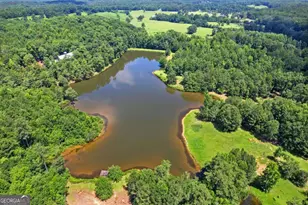 10861 Hutcheson Ferry Rd, Chattahoochee Hills, GA 30268 - Photo 8