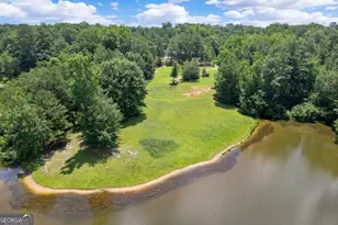 10861 Hutcheson Ferry Rd, Chattahoochee Hills, GA 30268 - Photo 4