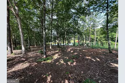 1117 Rome Beauty, Clarkesville, GA 30523 - Photo 18
