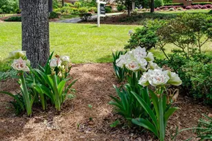 110 Holly Dr, Warner Robins, GA 31088 - Photo 4