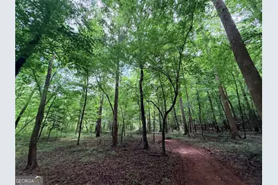 1528 James Adams Road, Danielsville, GA 30633 - Photo 56