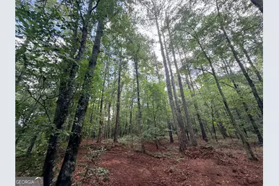 1528 James Adams Road, Danielsville, GA 30633 - Photo 24