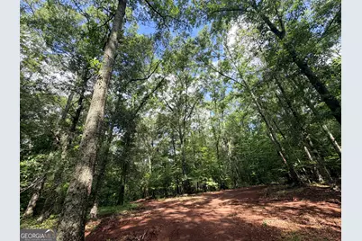 1528 James Adams Road, Danielsville, GA 30633 - Photo 16