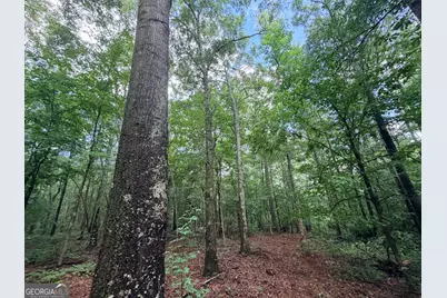 1528 James Adams Road, Danielsville, GA 30633 - Photo 20