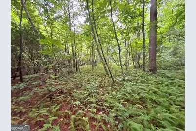10Ac Lovejoy Lane, Talking Rock, GA 30175 - Photo 12