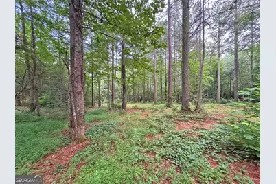 10Ac Lovejoy Lane, Talking Rock, GA 30175 - Photo 2