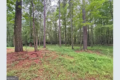 10Ac Lovejoy Lane, Talking Rock, GA 30175 - Photo 32