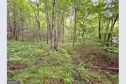 10Ac Lovejoy Lane, Talking Rock, GA 30175 - Photo 18