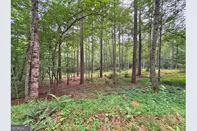 20Ac Yonder Way, Talking Rock, GA 30175 - Photo 22