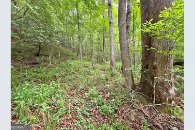20Ac Yonder Way, Talking Rock, GA 30175 - Photo 32