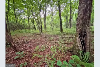 20Ac Yonder Way, Talking Rock, GA 30175 - Photo 26