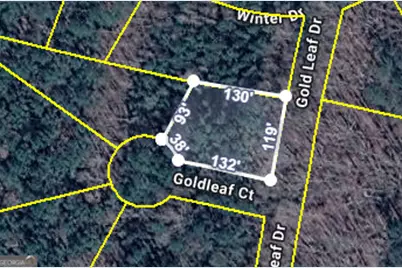 0 Gold Leaf Drive, Grantville, GA 30220 - Photo 1