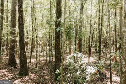 0 Lexington Carlton Road, Lexington, GA 30648 - Photo 6
