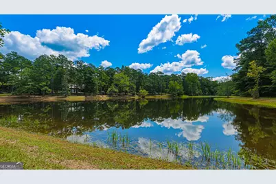 1202 Eddie Martin Road, Buena Vista, GA 31803 - Photo 12