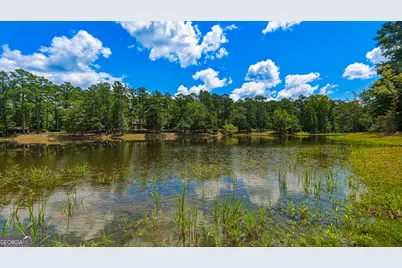 1202 Eddie Martin Road, Buena Vista, GA 31803 - Photo 86