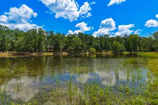 1202 Eddie Martin Rd, Buena Vista, GA 31803 - Photo 86