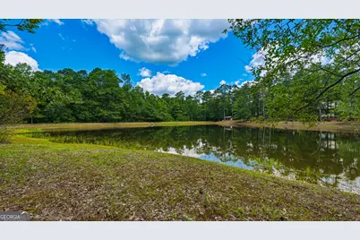 1202 Eddie Martin Road, Buena Vista, GA 31803 - Photo 88
