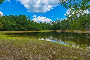 1202 Eddie Martin Rd, Buena Vista, GA 31803 - Photo 88