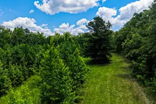 1202 Eddie Martin Rd, Buena Vista, GA 31803 - Photo 24