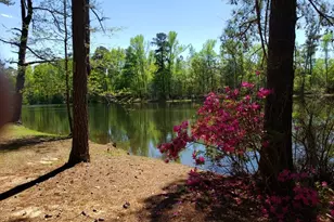 1202 Eddie Martin Rd, Buena Vista, GA 31803 - Photo 104