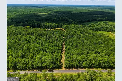 1202 Eddie Martin Road, Buena Vista, GA 31803 - Photo 78