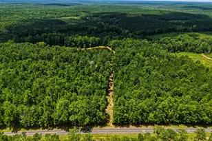 1202 Eddie Martin Rd, Buena Vista, GA 31803 - Photo 78