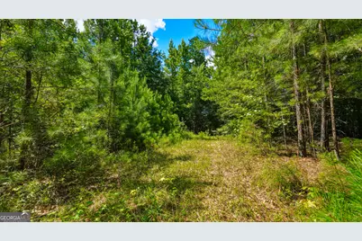 1202 Eddie Martin Road, Buena Vista, GA 31803 - Photo 92