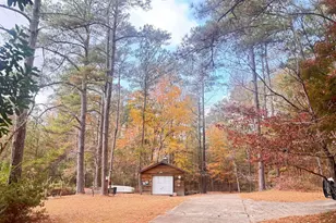 1202 Eddie Martin Rd, Buena Vista, GA 31803 - Photo 108