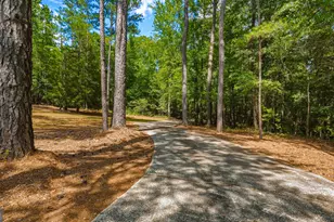 1202 Eddie Martin Rd, Buena Vista, GA 31803 - Photo 32