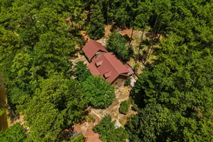 1202 Eddie Martin Rd, Buena Vista, GA 31803 - Photo 26