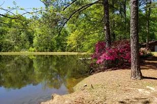 1202 Eddie Martin Rd, Buena Vista, GA 31803 - Photo 106