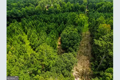 1202 Eddie Martin Road, Buena Vista, GA 31803 - Photo 76